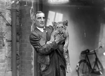 a man holding a baby lion cub, black and white photo